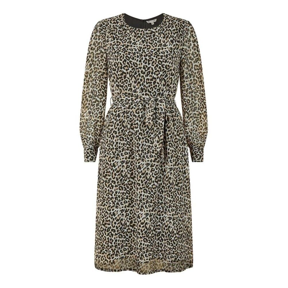 Yumi Womens/Ladies Leopard Print Crew Neck Skater Dress / Brown/Black